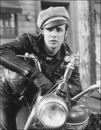 Quel est ce film de 1953, dans lequel Marlon Brando interprète Johnny, le chef d'une bande de motards en blouson noir  ?