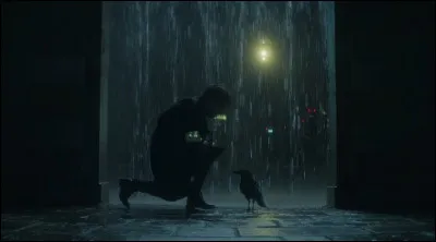 Comment s'appelle le corbeau de Lord Morpheus ?