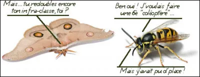 Cette infra-classe des néoptères - à l'instar des membres "ordinaires" inscrits* sur ce merveilleux site - représente [...] des insectes répertoriés sur Terre. [Complétez les crochets !]