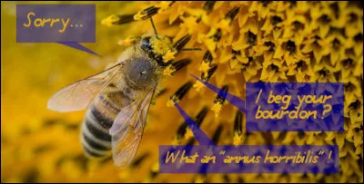 La Reine > Telle son homonyme humain V*** préférant garder l’anonymat malgré moult quiz pleuvant à son sujet, connaît une activité primordiale : laquelle ?