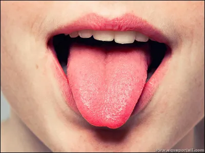 Selon toi, combien de muscles la langue possède-t-elle ?