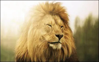 Quand &ecirc;tes-vous n&eacute; par exemple, si votre signe astrologique est le Lion ?