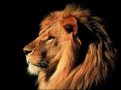 De quel pays le titre "Le Lion rouge" est-il l'hymne national ?