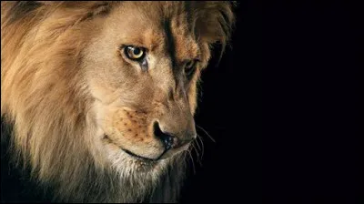 Qui devient le Roi lion, lionceau au d&eacute;but du film ?