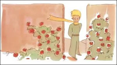 Combien y a-t-il de tomes ?