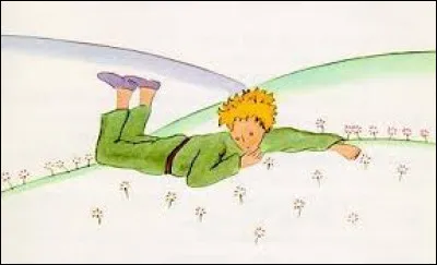 Quels personnages apparaissent dans ''Le Petit Prince'' ?