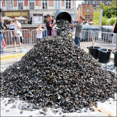 Lors de quel &eacute;v&eacute;nement est-il coutumier de faire des tas de moules ?