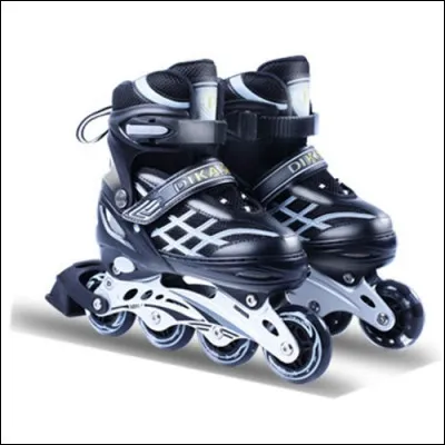 Quel est le nom de ce moyen de transport ?