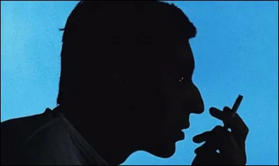 Quel chanteur a prononcé cette phrase : ''Je pratique un art mineur destiné aux mineures'' ?