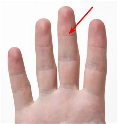 Quel autre nom donne-t-on au majeur, le plus grand doigt de la main ?