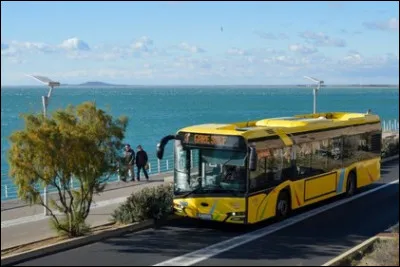"Louis il prend son bus, comme tous les matins / Il croise cette m&ecirc;me fille, avec son doux parfum...". Qui chante "Dommage" en 2017 ?