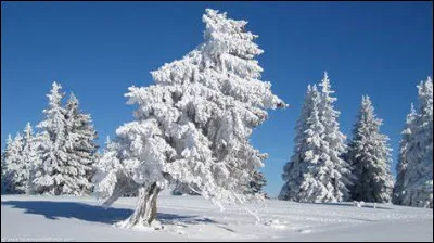 Qui prendra le pouvoir en décembre 1990 au Tchad ?