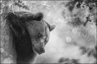 Qui est le réalisateur du film "L'Ours" ?