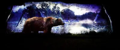 Dans la littérature pour enfants, l'ours Paddington est un ours de fiction qui vit au Pérou ; sa famille d'accueil britannique décide de l'appeler du nom...