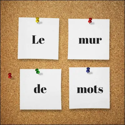 Qui chantait "J'ai laissé en passant quelques mots sur les murs du couloir qui descend au parking des voitures... si quelqu'un les entend répondez-moi" ?