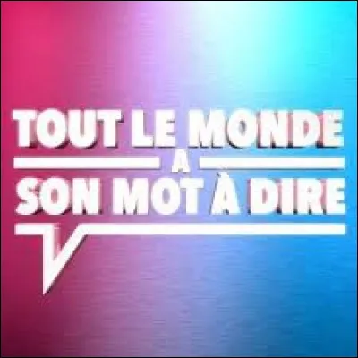 Avec qui Sidonie Bonnec anime-t-elle le jeu télévisé "Tout le monde a son mot à dire" ?