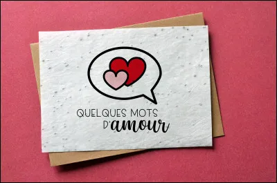 Dans les années 70, qui chantait "Faut pas pleurer comme ça, pleurer pour qui pourquoi.... pour quelques mots d'amour jetés dans une cour et qui s'en vont mourir" ?