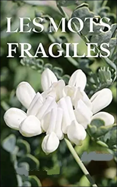 Qui chantait "Encore des mots toujours des mots, les mêmes mots"..."des mots faciles, des mots fragiles, c'était trop beau" ?