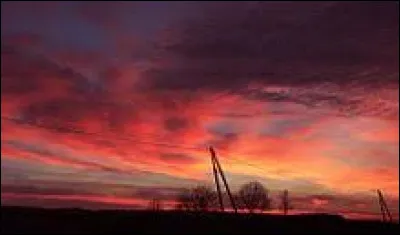 Quel plat préfères-tu ?