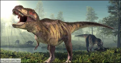 Que signifie le tyrannosaure en latin ?