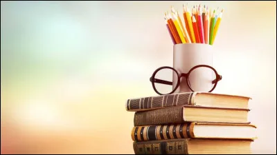 Quel est ton niveau scolaire ?