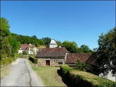 Ancienne commune, dans le Périgord noir, Orliaguet se situe dans le département ...