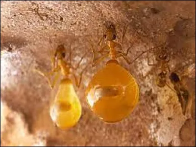 Retrouvez le nom de cette activité !