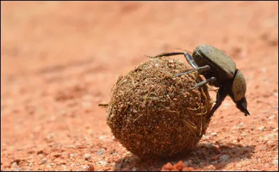 Je vous laisse cogiter là-dessus !