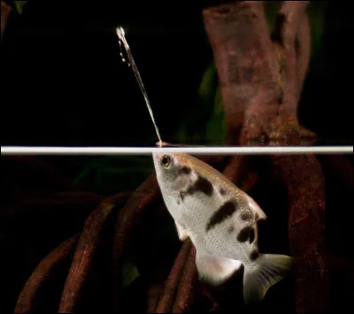 Prenez votre temps et respirez lentement, puis bloquez la respiration !