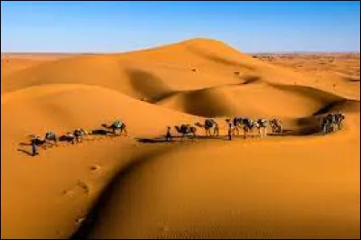 Que signifie "Sahara" en berbère ?