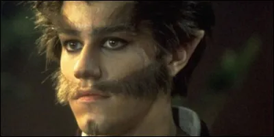 Dans "Le Loup-garou du campus", Tommy, un joueur de tennis réputé, se fait mordre par un loup-garou dans la ville de Coolsville.