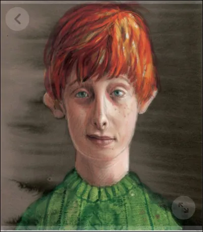 Voilà la baguette de Ron Weasley, je vois que sa baguette est en bois de saule… Malheureusement je n'en sais pas beaucoup plus…
Saurais-tu me dire en quoi est fait son cœur ?