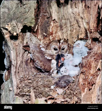 Croyez-vous aux choses spirituelles ?