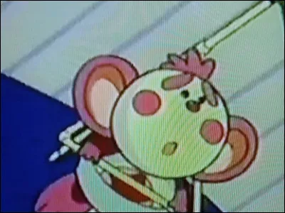 Quel est le nom du compagnon de Hanin ?