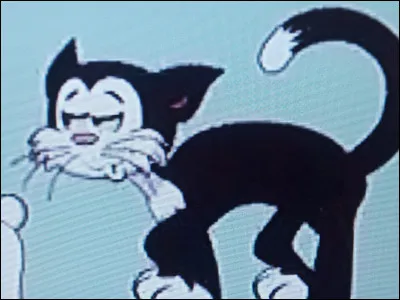 Quel est le nom de cette chatte ?