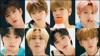 Lequel de ces Stray Kids n'est pas né en Corée ?