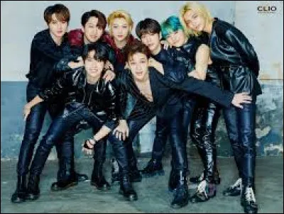 Lequel de ces Stray Kids est le plus âgé ?