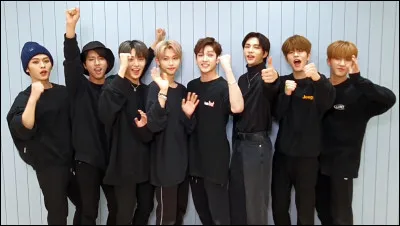 Lequel de ces Stray Kids est le plus jeune ?