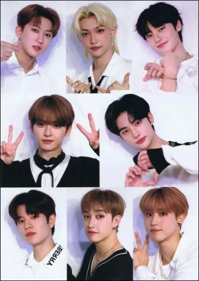 Qui est le plus grand des Stray Kids ?