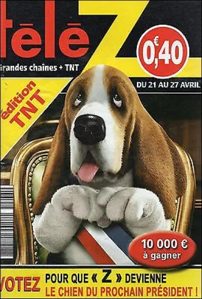 Télé Z : de quelle race est le chien qui sert de mascotte au journal ?