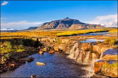 Économie : Quelle est la principale exportation du Venezuela ?