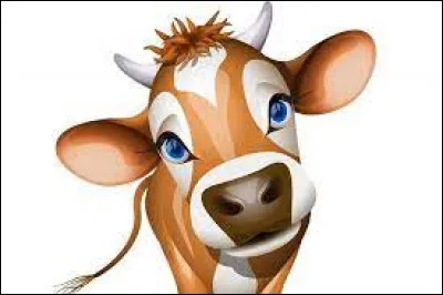 Comment dit-on "la vache" ?