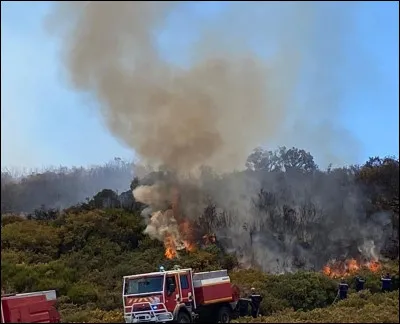 En quelle année, La Réunion a-t-elle connu l'un de ses importants feux de forêt, mobilisant deux Dash 8 de la sécurité civile ?