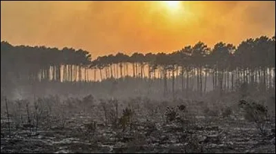 Dans quel département se situe la commune de Landiras ?