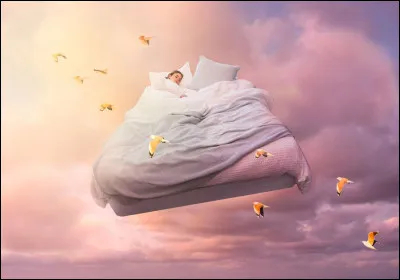 Quel est ton plus grand rêve parmi ces propositions ?