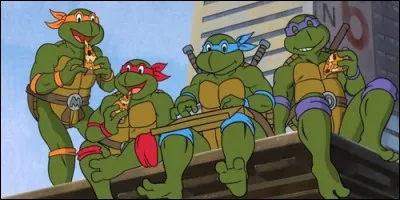 Quelle arme utilise Michelangelo dans "Les Tortues Ninja : Les Chevaliers d'écaille" ?