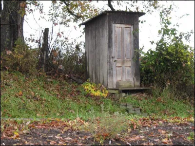 Quel humoriste est l'auteur de la chanson parodique ''Ma cabane au fond du jardin'' ?