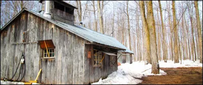 Dans quel pays trouve-t-on logiquement des ''cabanes à sucre'' ?