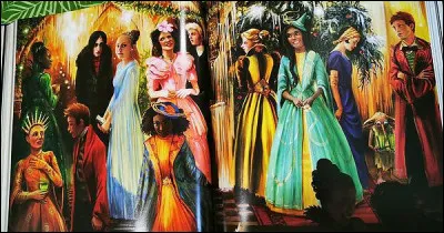 De quelle couleur était sa robe au bal de Noël ?