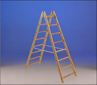 Quelle échelle permet de mesurer l'intensité du vent ?